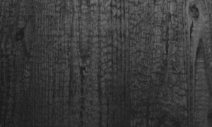 Woodline WL Carbonized Wood