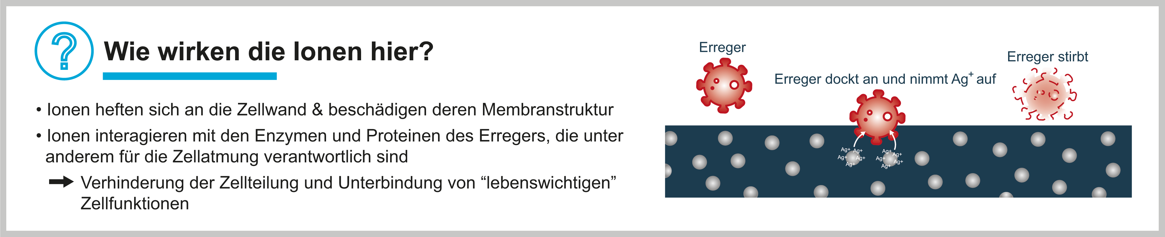 Die Basis soll ein „Masterbatch“ mit antimikrobiellen Eigenschaften sein, welches auf die Krankheitserreger reagiert und diese unschädlich macht. In die Folienrezeptur wird dieses sogenanntes „Masterbatch“ gegeben, das auf Metallionen basiert, welche für den antiviralen Effekt sorgen.